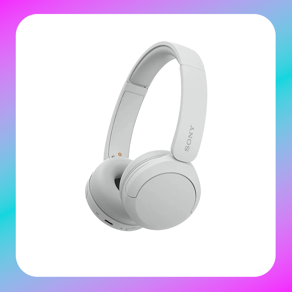 Sony WH-CH520 Wireless Headphone