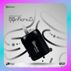 BranLux BL-U25 Turboboost Adapter PD 33W Charger